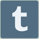 Tumblr icon